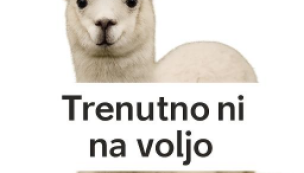 ALPAKA VERIŽICE